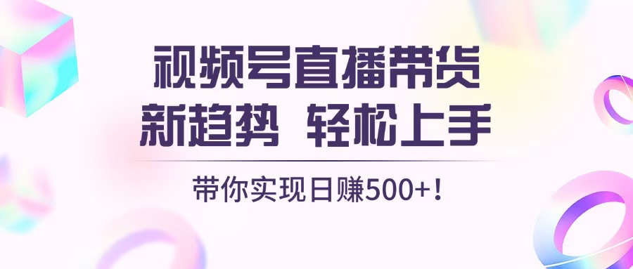 视频号直播带货新趋势，轻松上手，带你实现日赚500+-点子口袋网