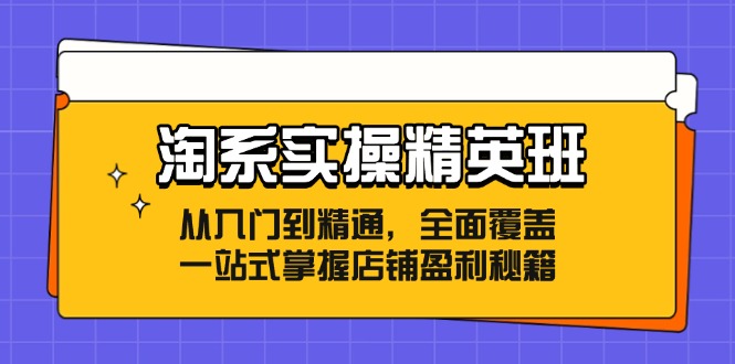淘系实操精英班：从入门到精通，全面覆盖，一站式掌握店铺盈利秘籍-点子口袋网