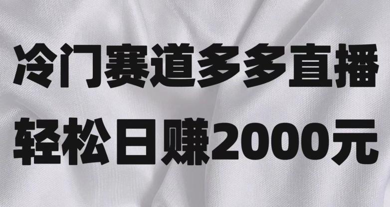 冷门赛道拼多多直播，简单念稿子，日收益2000＋【揭秘】-点子口袋网
