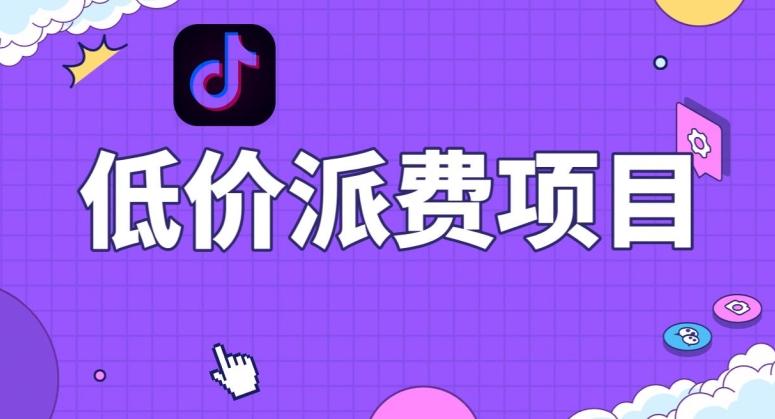 抖音低价派单项目，0门槛，日入1000+很轻松，小白可操作【揭秘】-点子口袋网