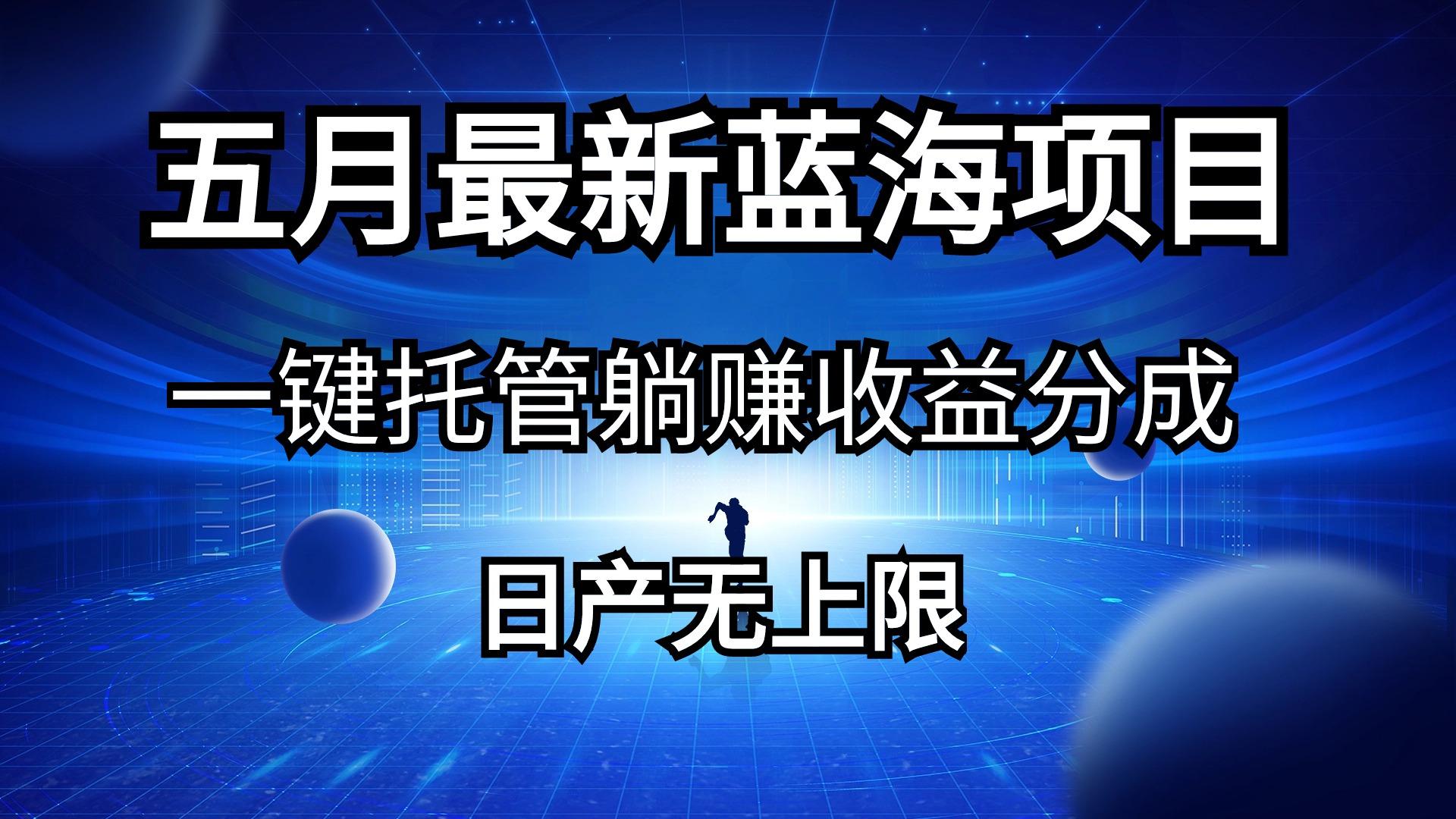 五月刚出最新蓝海项目一键托管 躺赚收益分成 日产无上限-点子口袋网