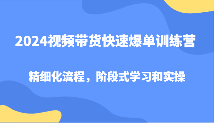 2024视频带货快速爆单训练营，精细化流程，阶段式学习和实操-点子口袋网