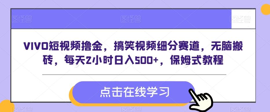 VIVO短视频撸金，搞笑视频细分赛道，无脑搬砖，每天2小时日入500+，保姆式教程-点子口袋网