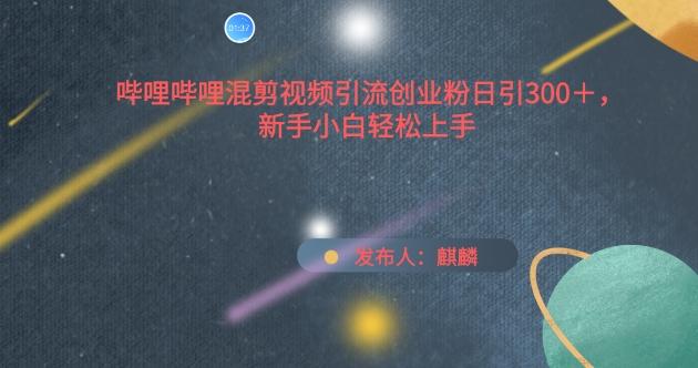 哔哩哔哩混剪视频引流创业粉日引300+，新手小白轻松上手【揭秘】-点子口袋网