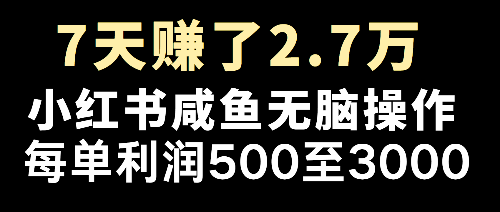 全网首发，7天赚了2.6万，2025利润超级高！-点子口袋网