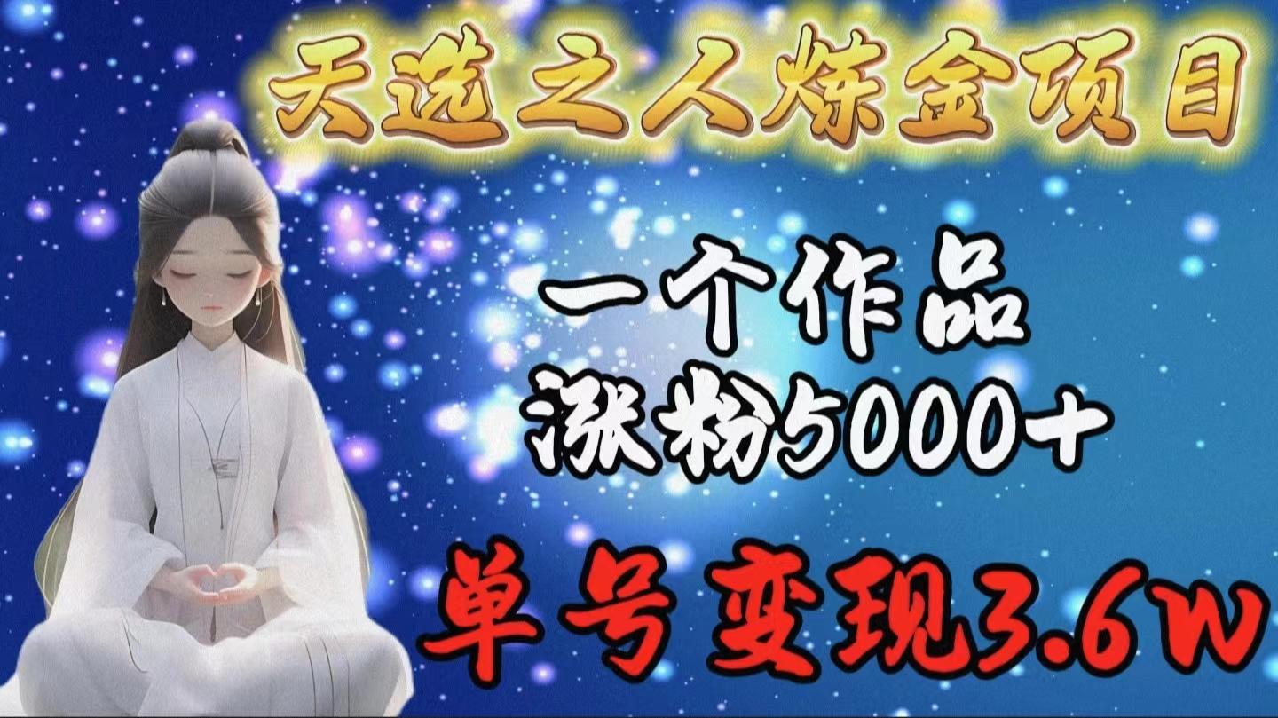 (9693期)天选之人炼金项目，一个作品涨粉5000+，单号变现3.6w-点子口袋网