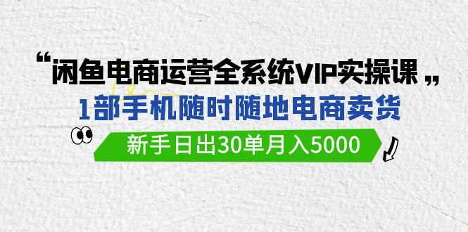 (9547期)闲鱼电商运营全系统VIP实战课，1部手机随时随地卖货，新手日出30单月入5000-点子口袋网