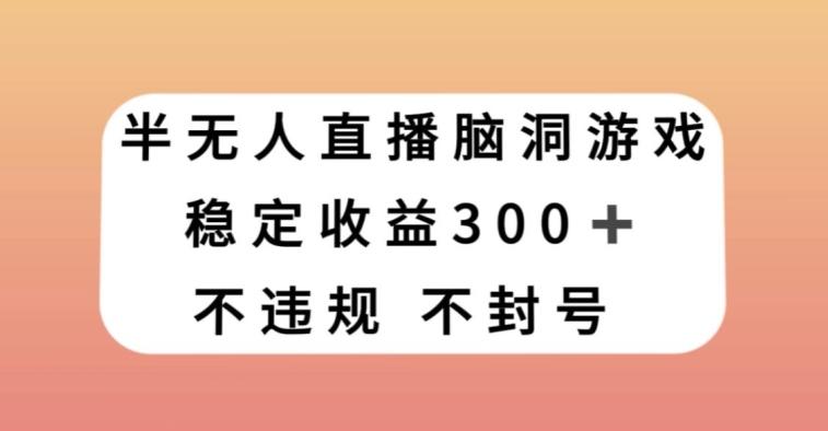 半无人直播脑洞小游戏，每天收入300+，保姆式教学小白轻松上手【揭秘】-点子口袋网
