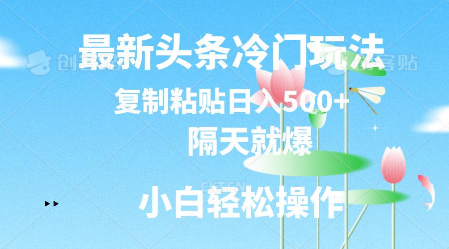 最新头条冷门玩法，隔天就爆，复制粘贴日入500+-点子口袋网