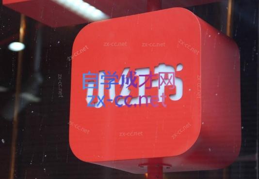 伊伊·红薯【高级班】运营课-点子口袋网
