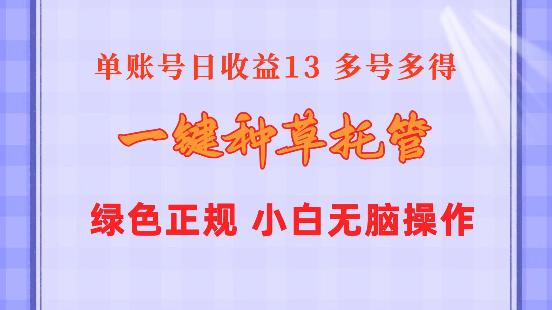 一键种草托管 单账号日收益13元  10个账号一天130  绿色稳定 可无限推广-点子口袋网