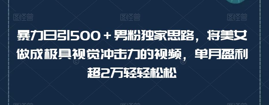 暴力日引500＋男粉独家思路，将美女做成极具视觉冲击力的视频，单月盈利超2万轻轻松松-点子口袋网