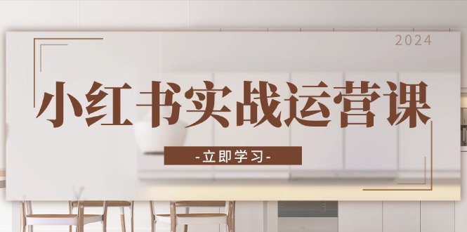 小红书实战运营课：从开通店铺到直播话术，打造爆款笔记与高效直播-点子口袋网