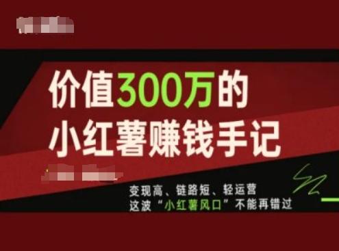 价值300万的小红书赚钱手记，变现高、链路短、轻运营，这波“小红薯风口”不能再错过-点子口袋网