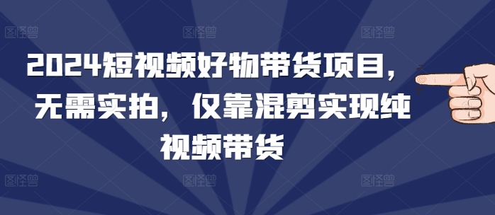 2024短视频好物带货项目，无需实拍，仅靠混剪实现纯视频带货-点子口袋网