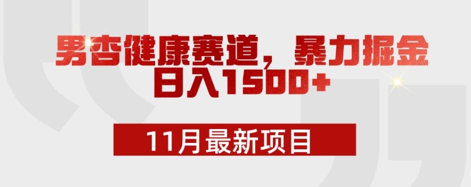 11月最新项目，男杏健康赛道，暴力掘金，日入1500+-点子口袋网