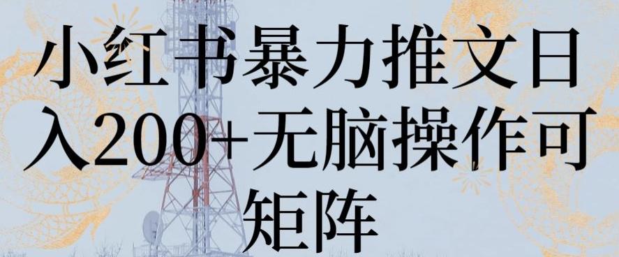 小红书暴力推文日入200+无脑操作可矩阵【揭秘】-点子口袋网