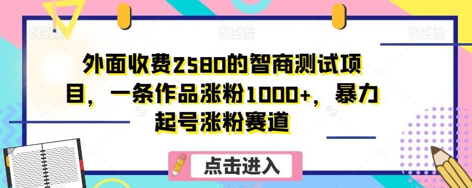 外面收费2580的智商测试项目，一条作品涨粉1000+，暴力起号涨粉赛道【揭秘】-点子口袋网