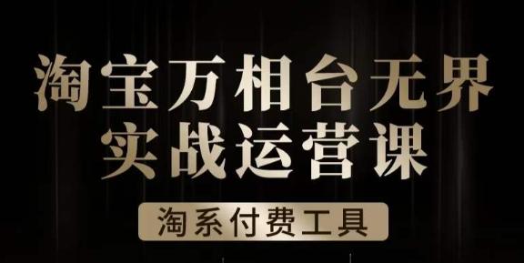 沧海·淘系万相台无界实战运营课，万相台无界实操全案例解析-点子口袋网