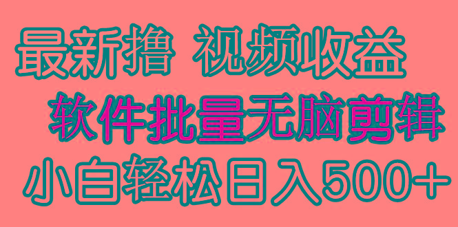 (9569期)发视频撸收益，软件无脑批量剪辑，第一天发第二天就有钱-点子口袋网