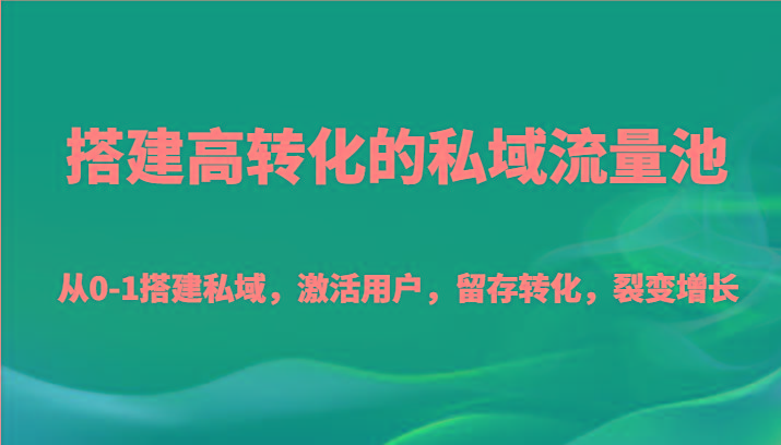 搭建高转化的私域流量池 从0-1搭建私域，激活用户，留存转化，裂变增长(20节课)-点子口袋网