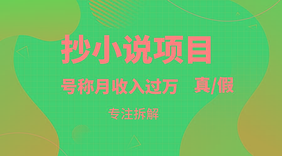 抄小说项目，号称月入过万，到底是否真实，能不能做，详细拆解-点子口袋网