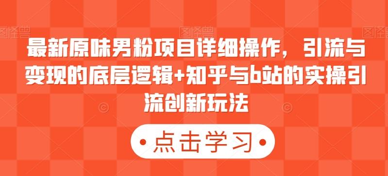 最新原味男粉项目详细操作，引流与变现的底层逻辑+知乎与b站的实操引流创新玩法-点子口袋网