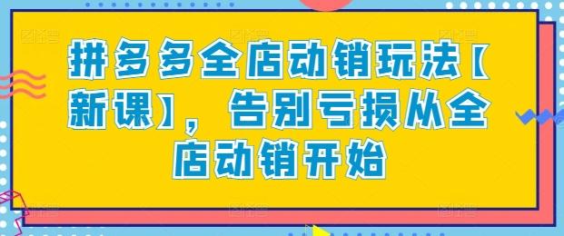 拼多多全店动销玩法【新课】，告别亏损从全店动销开始-点子口袋网
