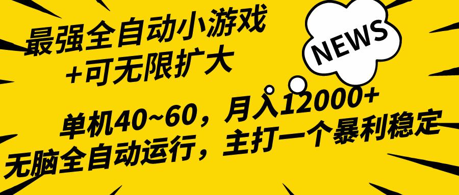 (10046期)2024最新全网独家小游戏全自动，单机40~60,稳定躺赚，小白都能月入过万-点子口袋网