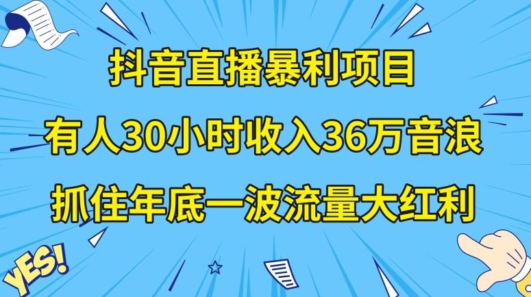 抖音直播暴利项目，有人30小时收入36万音浪，公司宣传片年会视频制作，抓住年底一波流量大红利【揭秘】-点子口袋网
