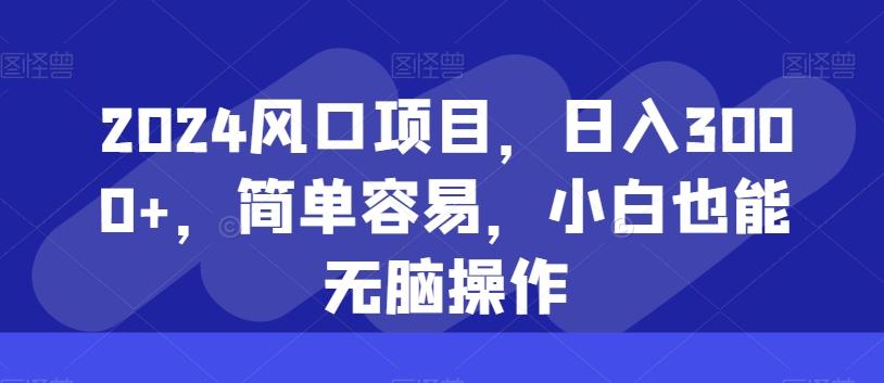 2024风口项目，日入3000+，简单容易，小白也能无脑操作-点子口袋网