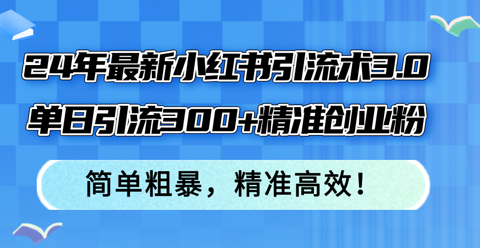 24年最新小红书引流术3.0，单日引流300+精准创业粉，简单粗暴，精准高效！-点子口袋网