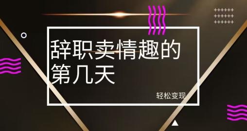 冷门赛道，辞职卖情趣的第几天，超暴力项目-点子口袋网