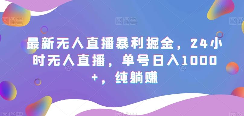 最新无人直播暴利掘金，24小时无人直播，单号日入1000+，纯躺赚-点子口袋网