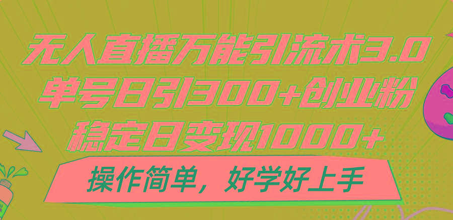 无人直播万能引流术3.0，单号日引300+创业粉，稳定日变现1000+，操作简单-点子口袋网