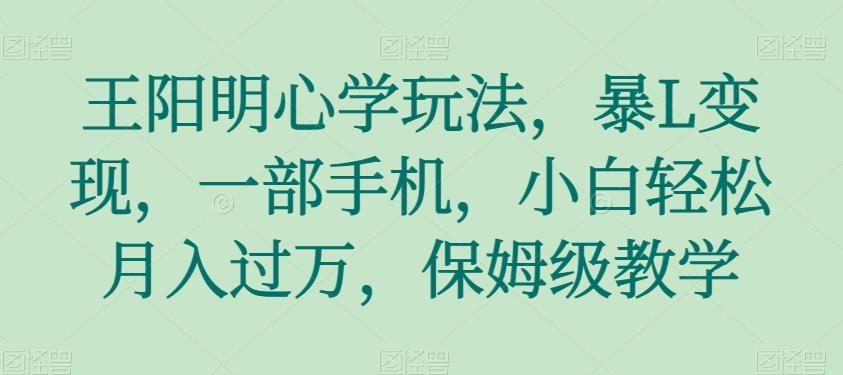 王阳明心学玩法，暴L变现，一部手机，小白轻松月入过万，保姆级教学【揭秘】-点子口袋网