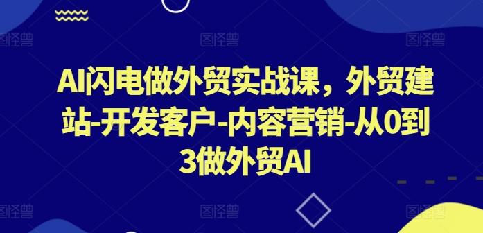 AI闪电做外贸实战课，​外贸建站-开发客户-内容营销-从0到3做外贸AI-点子口袋网