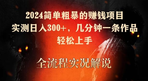 2024简单粗暴的赚钱项目，实测日入300+，几分钟一条作品，轻松上手【揭秘】-点子口袋网