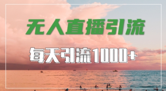 抖音快手视频号全平台通用，无人直播引流法，超暴力引流1000+高质量精准创业粉【揭秘】-点子口袋网