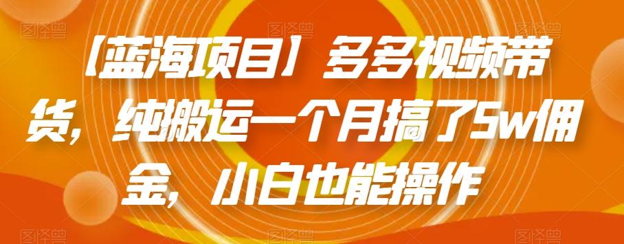 【蓝海项目】多多视频带货，纯搬运一个月搞了5w佣金，小白也能操作【揭秘】-点子口袋网