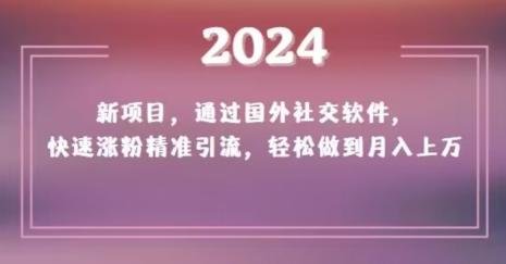 2024新项目，通过国外社交软件，快速涨粉精准引流，轻松做到月入上万【揭秘】-点子口袋网