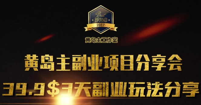 黄岛主副业分享会1期：3天3个副业玩法，速度上车-点子口袋网