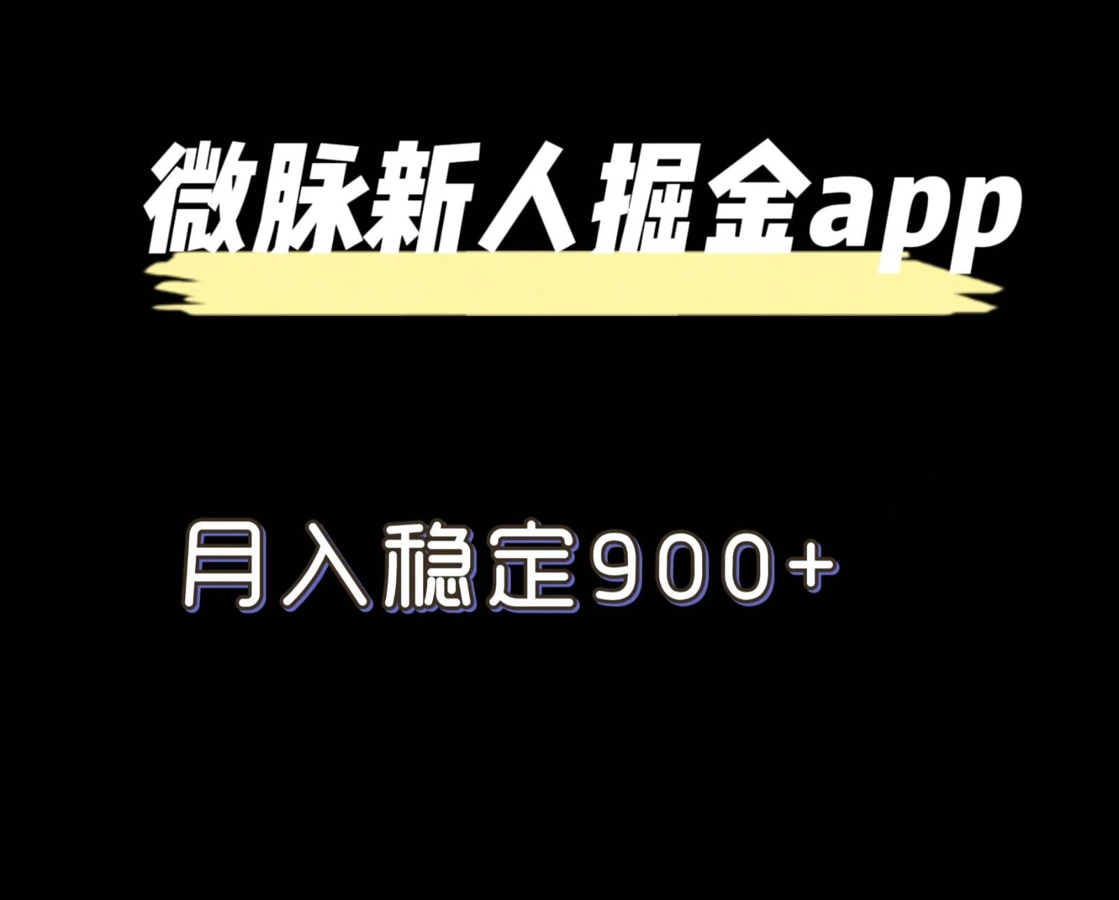 最新微脉长久项目，拉新掘金，月入稳定900+-点子口袋网