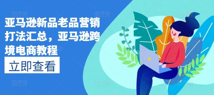 亚马逊新品老品营销打法汇总，亚马逊跨境电商教程-点子口袋网
