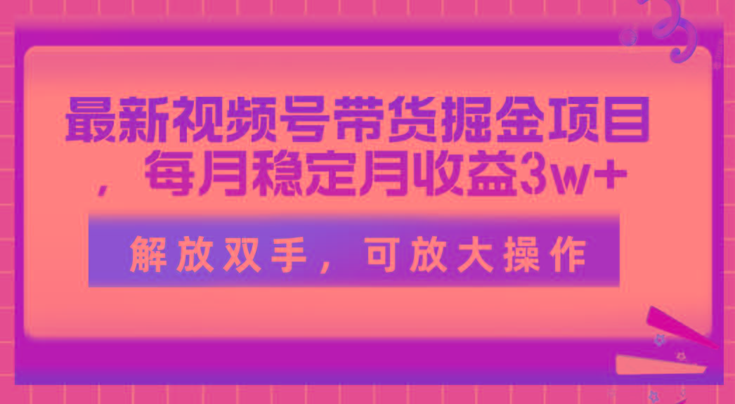 最新视频号带货掘金项目，每月稳定月收益3w+，解放双手，可放大操作-点子口袋网