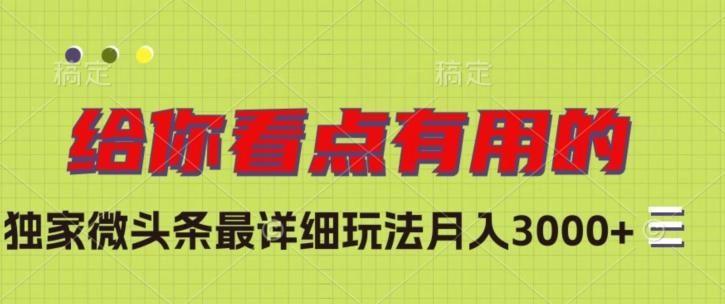 独家微头条最详细玩法，月入3000+【揭秘】-点子口袋网