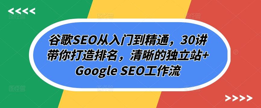 谷歌SEO从入门到精通，30讲带你打造排名，清晰的独立站+Google SEO工作流-点子口袋网