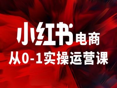 小红书电商从0-1实操运营课，让你从小白到精英-点子口袋网