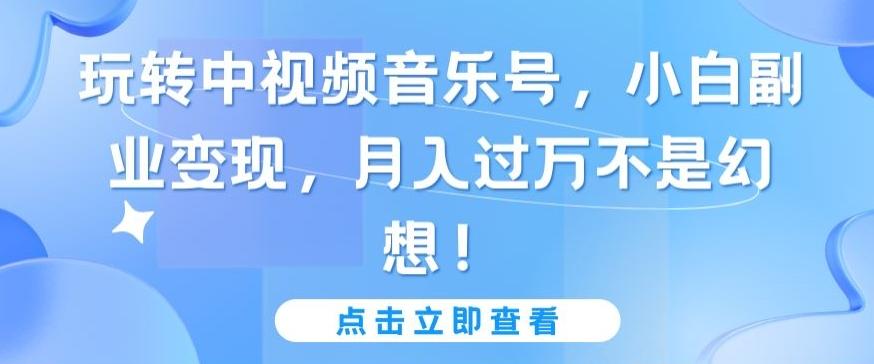 玩转中视频音乐号，小白副业变现，月入过万不是幻想【揭秘】-点子口袋网