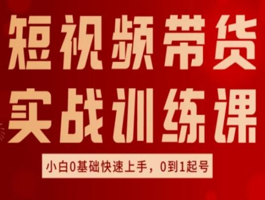 短视频带货实战训练课，好物分享实操，小白0基础快速上手，0到1起号-点子口袋网